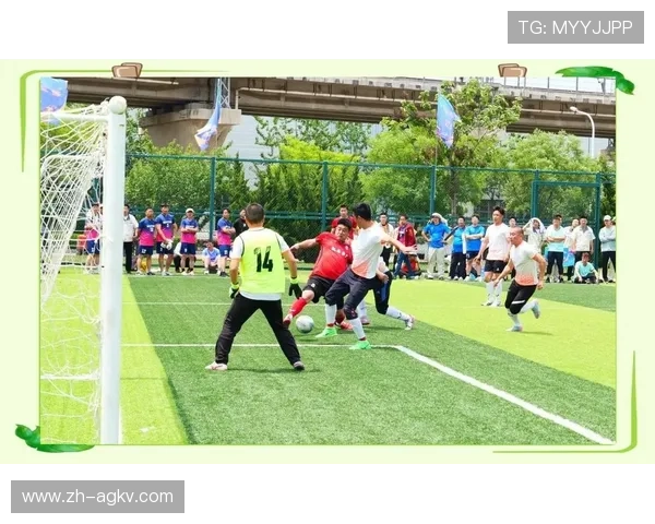 足球赛事中的创新技术与观众体验