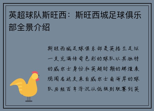 英超球队斯旺西：斯旺西城足球俱乐部全景介绍